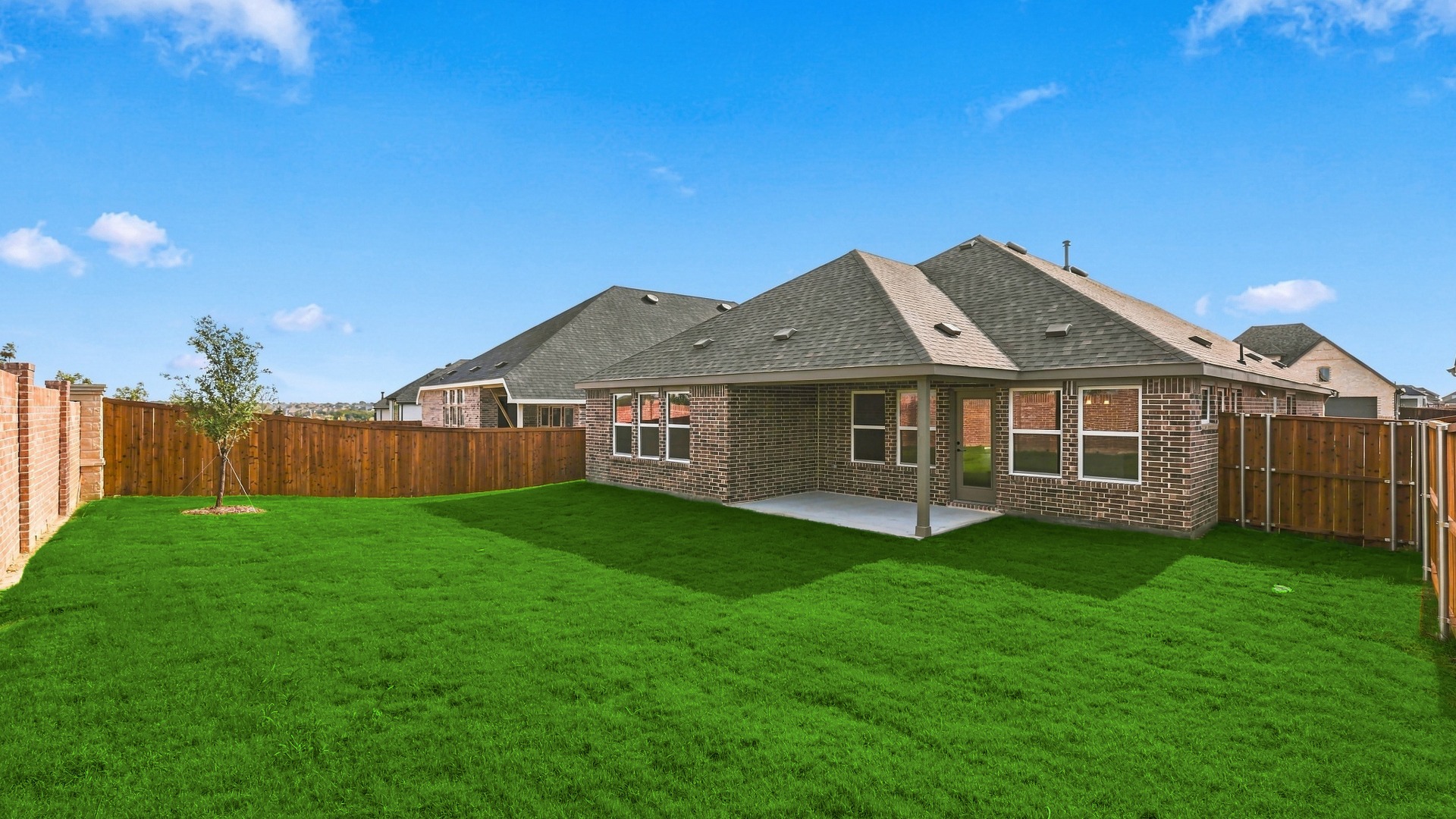 Palm at 16521 Japanese Maple Drive, Fort Worth, Texas: photo 2
