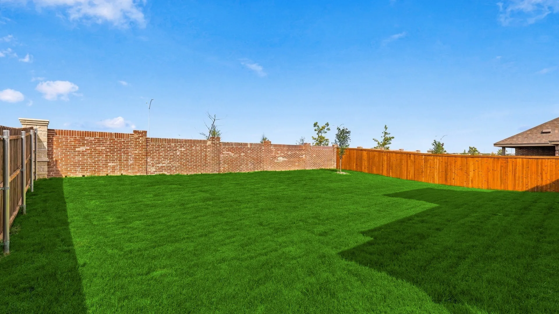 Hickory at 16517 Japanese Maple Drive, Fort Worth, Texas: photo 3