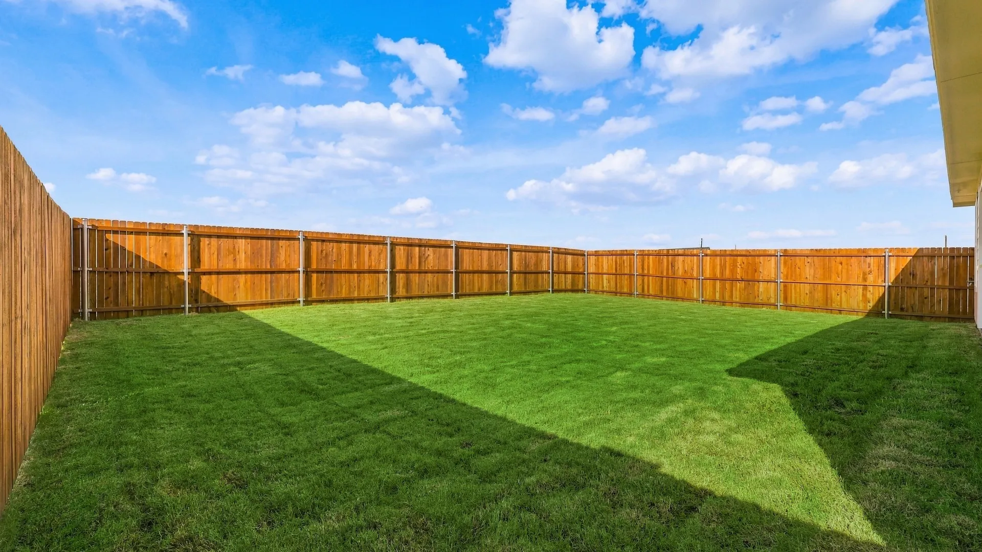 Blanton at 218 Morningside Drive, Josephine, Texas: photo 3